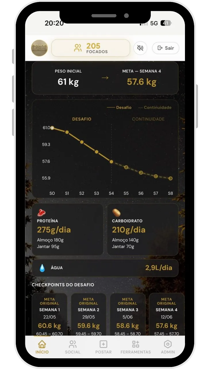 Metas calculadas no app